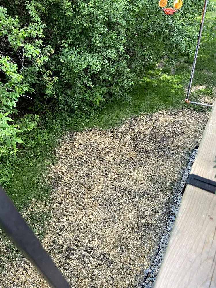 Custom lawn care service in Grand Blanc, MI - Green Glove Landscaping