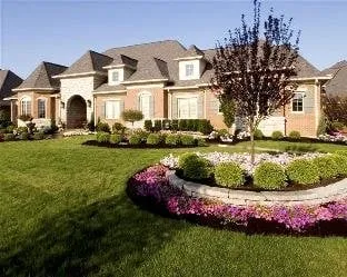 Top-rated yard cleanup service experts serving McKinney, TX - Green Go Landscaping