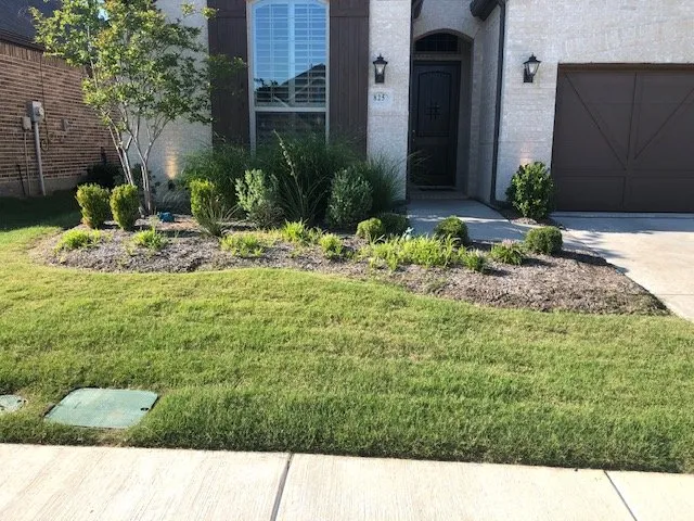 Local landscape installation in McKinney, TX by Green Go Landscaping