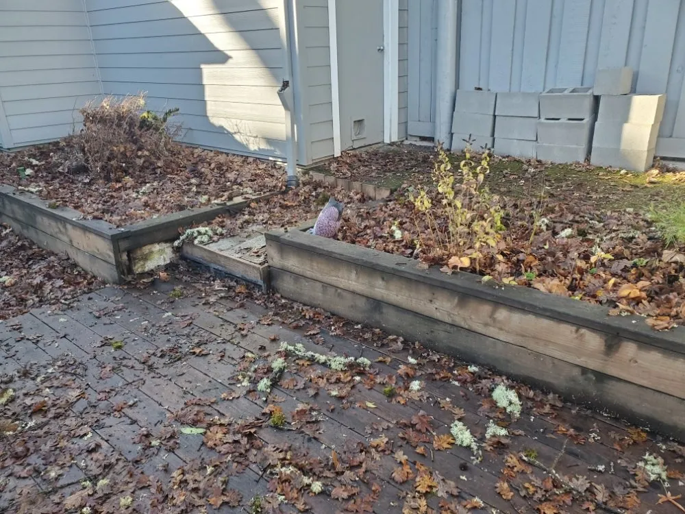 Top-rated lawn mowing service in Portland, OR by Green Go Landscaping