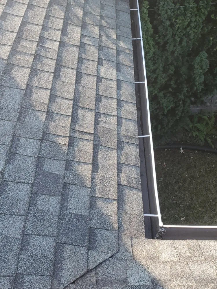 Reliable yard cleanup service experts serving Portland, OR - Green Go Landscaping