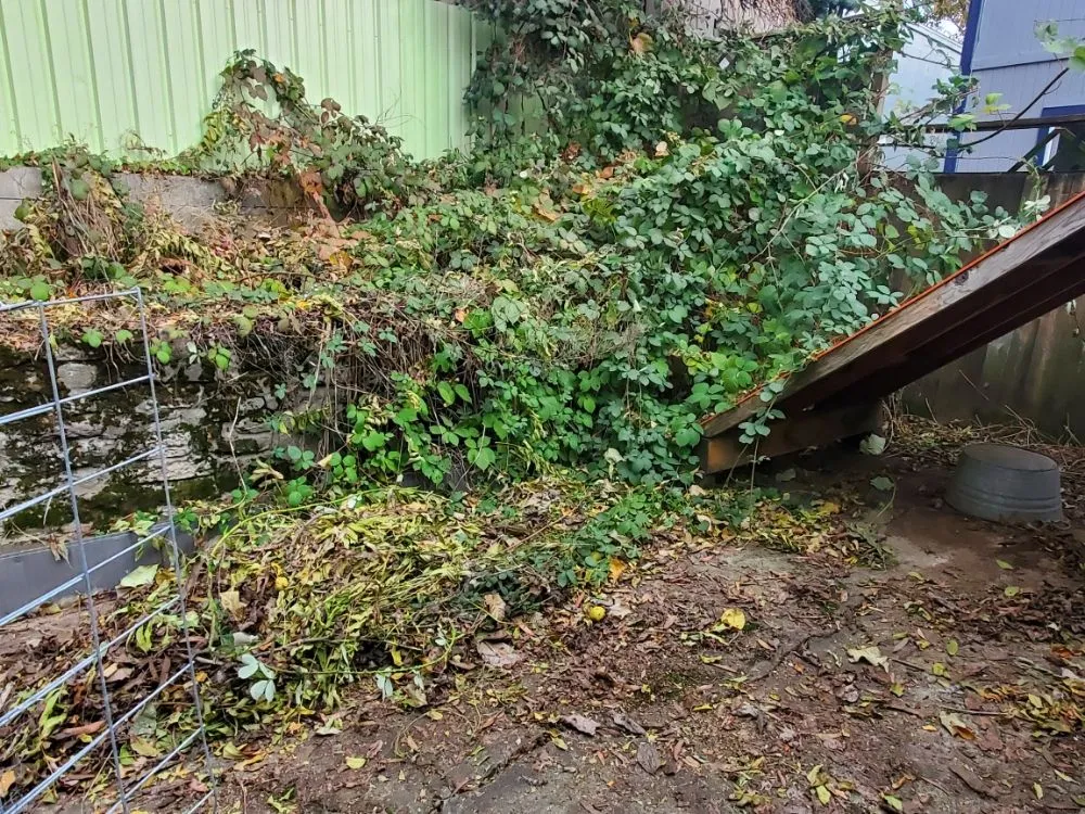 Expert landscaping services for outdoor upgrades across Portland, OR - Green Go Landscaping