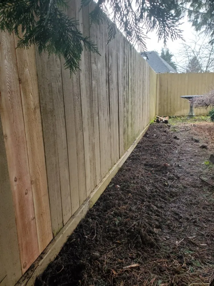 Affordable yard cleanup service for outdoor upgrades across Portland, OR - Green Go Landscaping