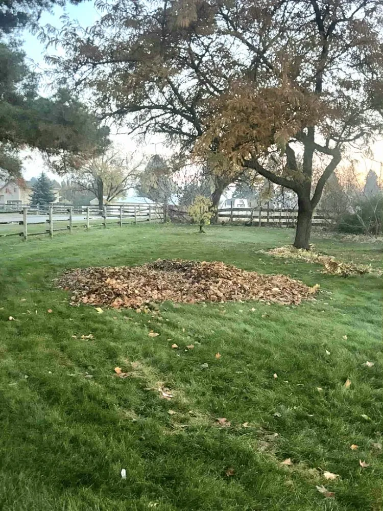 Top-rated outdoor landscaping in Spokane, WA - Green Go