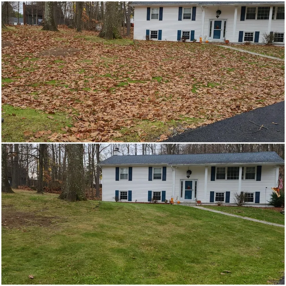 Professional residential landscaping in Spokane, WA - Green Go