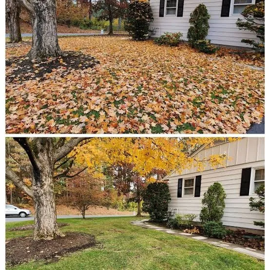 Top-rated landscape installation for residential properties in Spokane, WA by Green Go