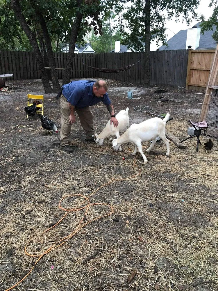 Professional landscape installation in Neeses, SC - Green Goat Land Management