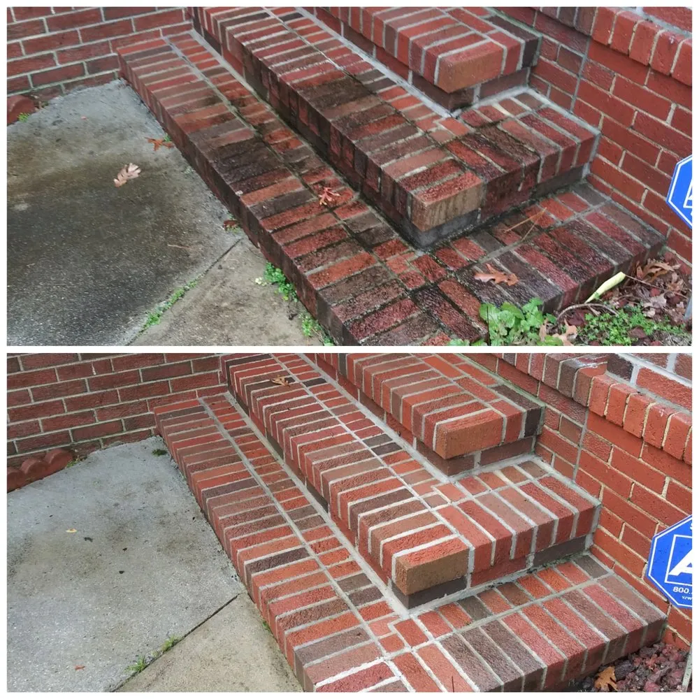 Trusted yard cleanup service in Norfolk, VA by Green Goat Landscapes