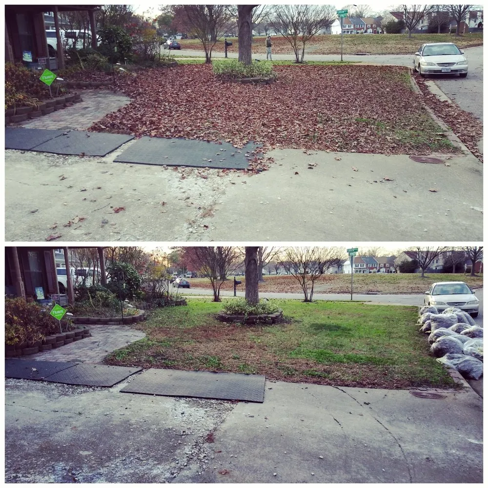 Affordable landscaping services for outdoor upgrades across Norfolk, VA - Green Goat Landscapes