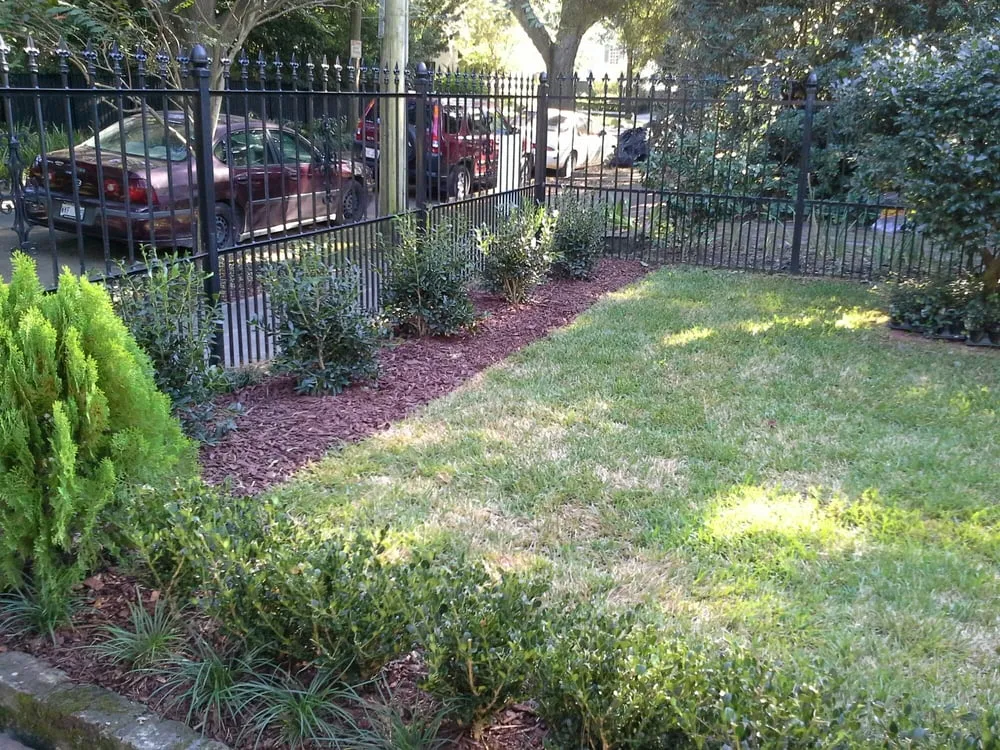 Professional garden landscaping for year-round maintenance across New Orleans, LA - Green Goddess Gardens