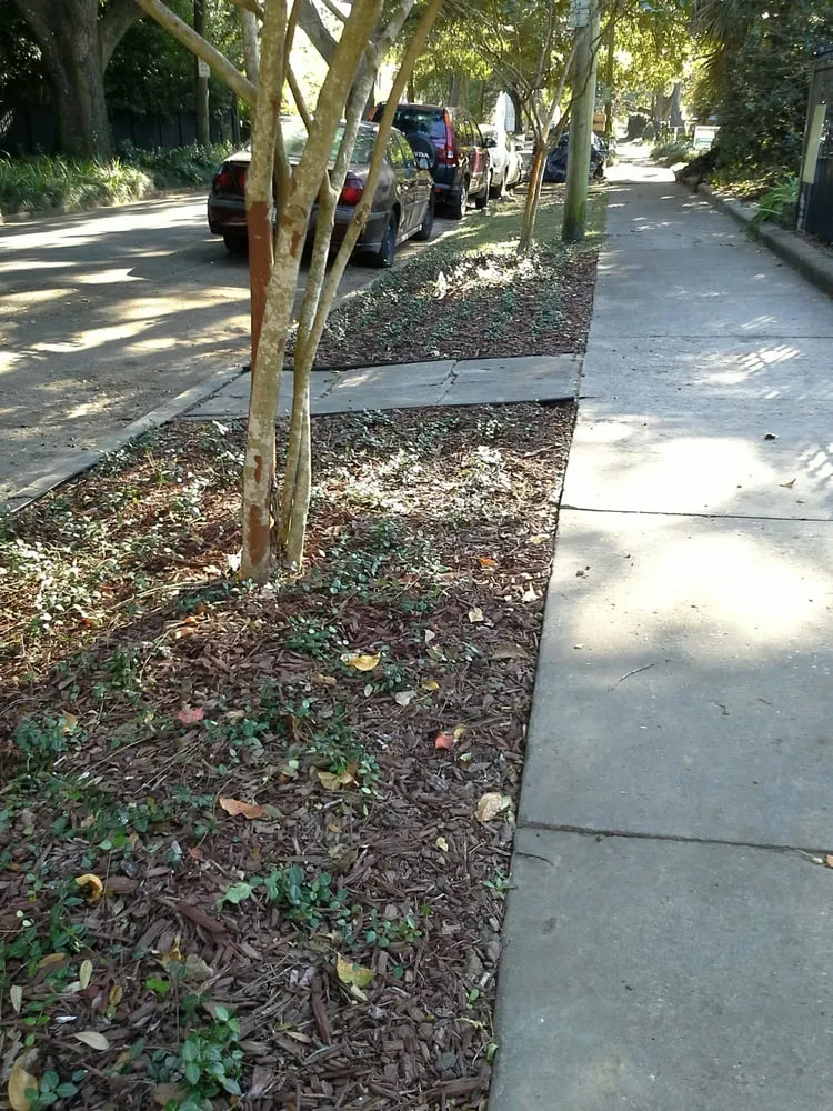 Professional landscape installation for residential properties in New Orleans, LA by Green Goddess Gardens