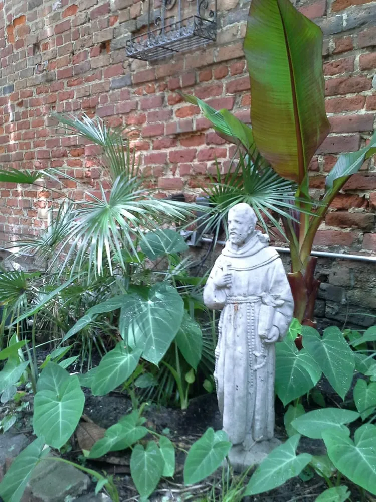 Affordable outdoor landscaping for homes across New Orleans, LA - Green Goddess Gardens