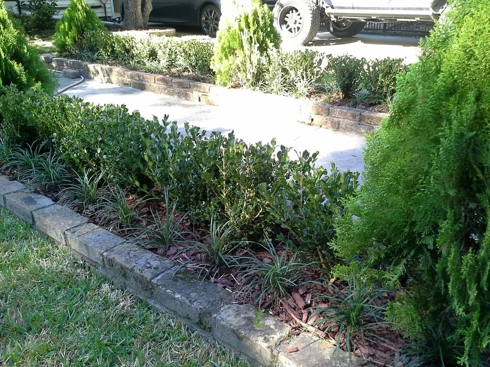 Reliable landscaping services near you in New Orleans, LA by Green Goddess Gardens