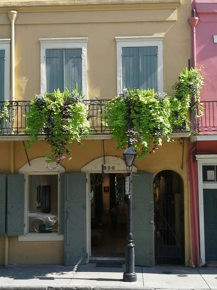 Top-rated yard cleanup service with custom design in New Orleans, LA by Green Goddess Gardens