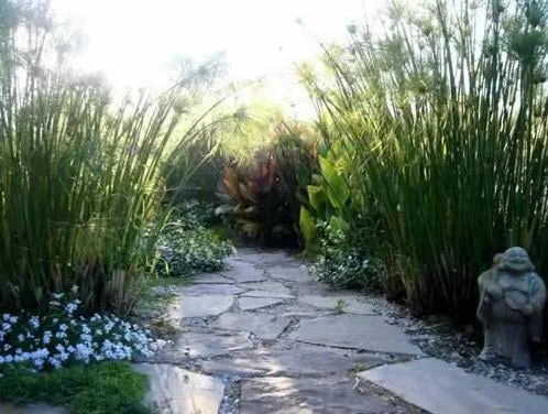 Professional garden landscaping in Oak View, CA by Green Goddess Gardens