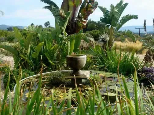 Custom landscape design experts serving Oak View, CA - Green Goddess Gardens