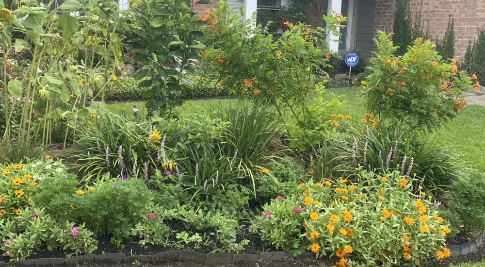 Local landscape installation experts serving Humble, TX - Green Goddess Landscaping