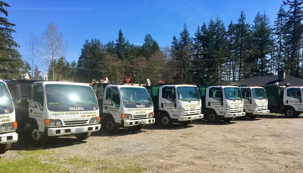 Trusted lawn mowing service in Mill Creek, WA - Green Goddess Landscaping