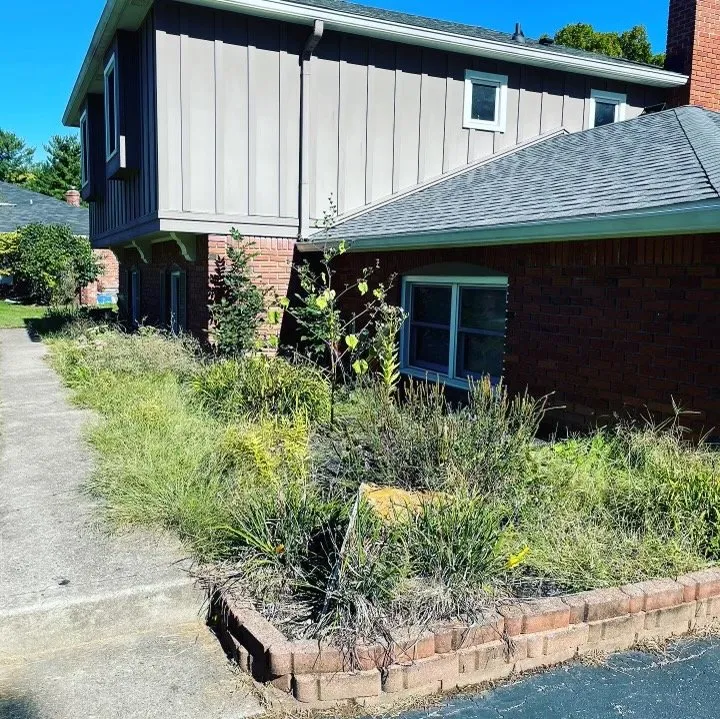 Affordable lawn care service in Indianapolis, IN by Green Gold