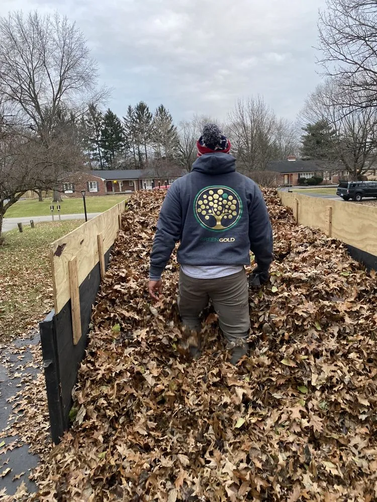 Affordable residential landscaping in Indianapolis, IN by Green Gold