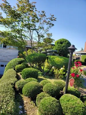 Green gold landscaping