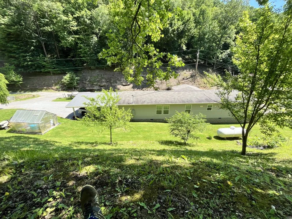 Local lawn care service for beautiful yards across Payne Gap, KY - Green Gold Landscaping