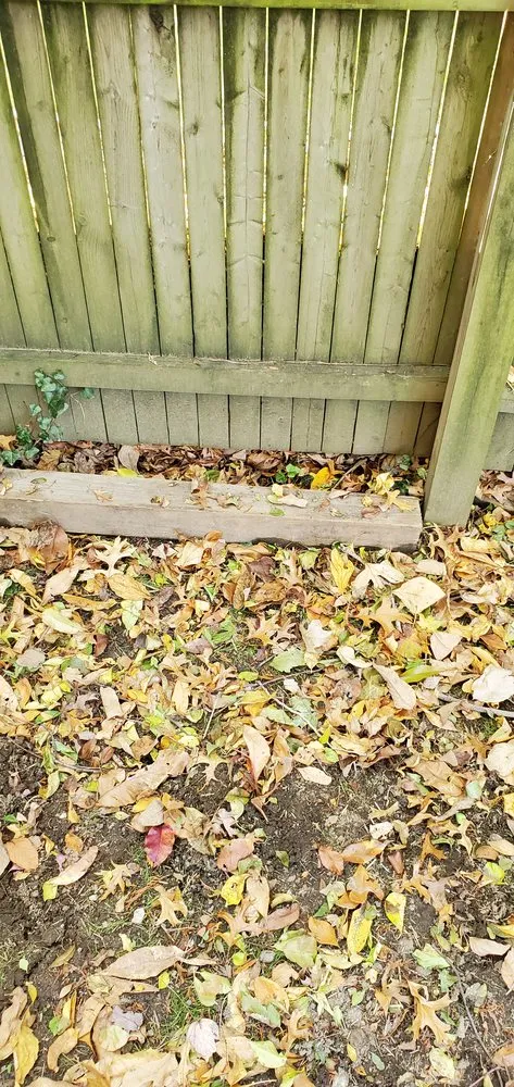 Trusted landscape design in White Plains, NY - Green Gold Landscaping