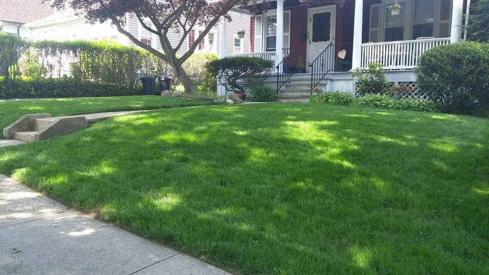 Local outdoor landscaping for residential properties in White Plains, NY by Green Gold Landscaping