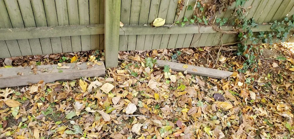 Expert outdoor landscaping for outdoor upgrades across White Plains, NY - Green Gold Landscaping