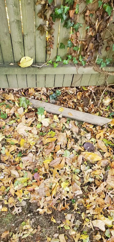 Custom yard maintenance experts serving White Plains, NY - Green Gold Landscaping