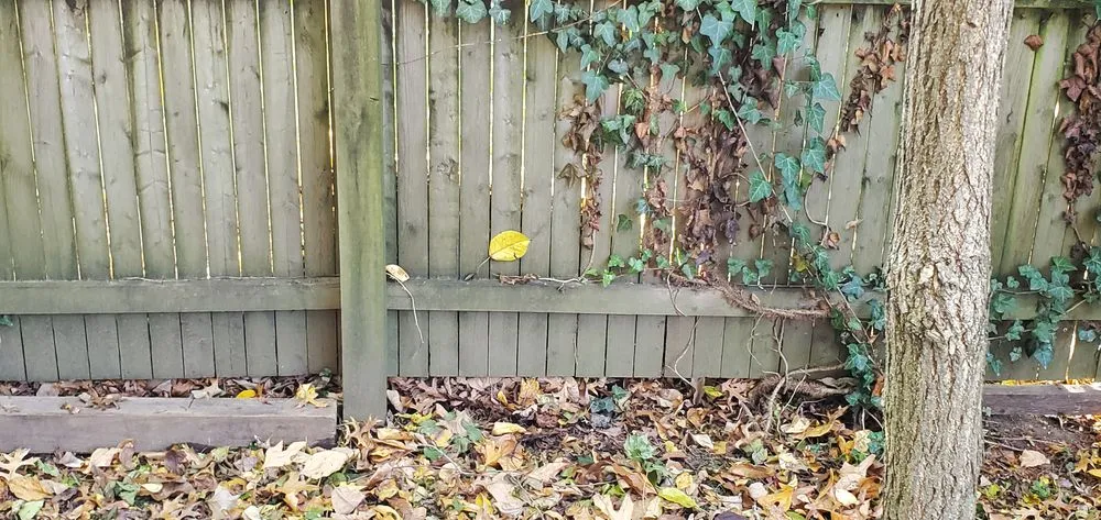 Affordable garden landscaping in White Plains, NY by Green Gold Landscaping