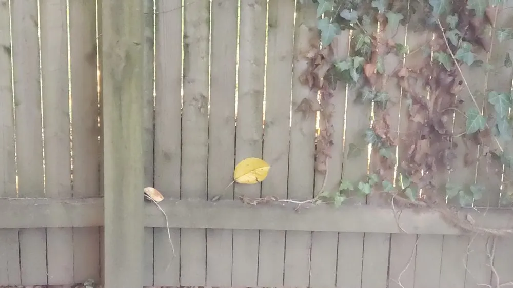 Trusted outdoor landscaping experts serving White Plains, NY - Green Gold Landscaping