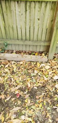 Green Gold Landscaping Logo