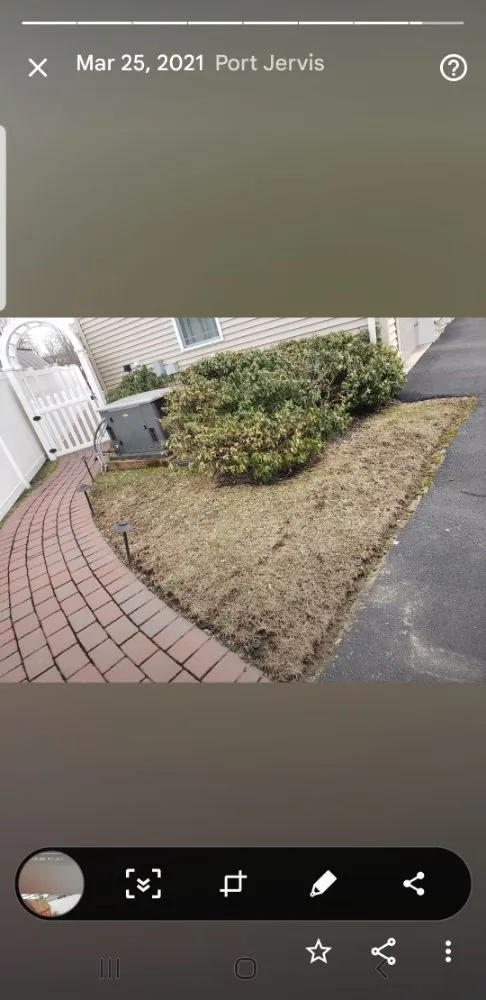 Expert landscape design in Port St Lucie, FL by Green Gold Lawn Care