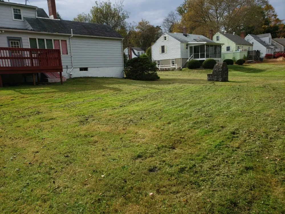 Expert residential landscaping experts serving Port St Lucie, FL - Green Gold Lawn Care