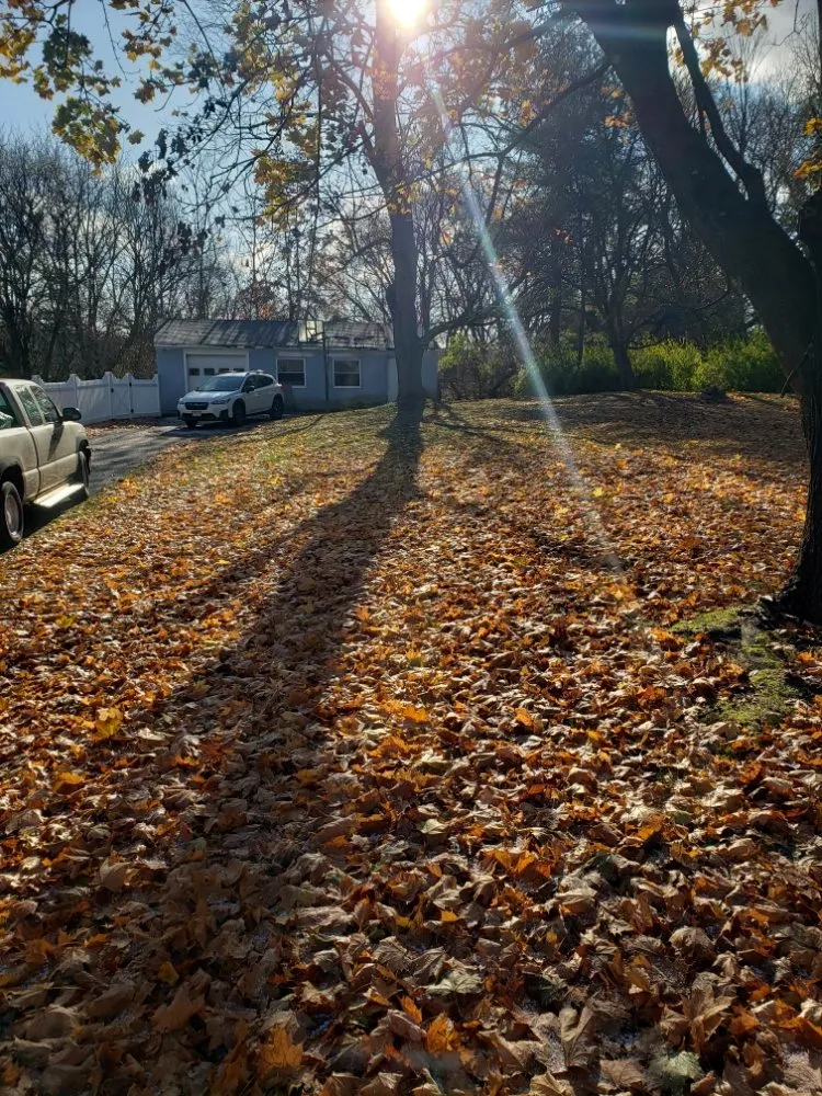 Local yard maintenance for residential properties in Port St Lucie, FL by Green Gold Lawn Care