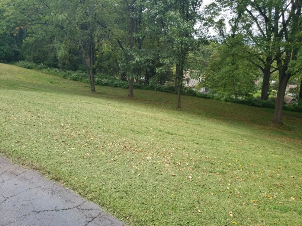 Expert outdoor landscaping in Port St Lucie, FL by Green Gold Lawn Care