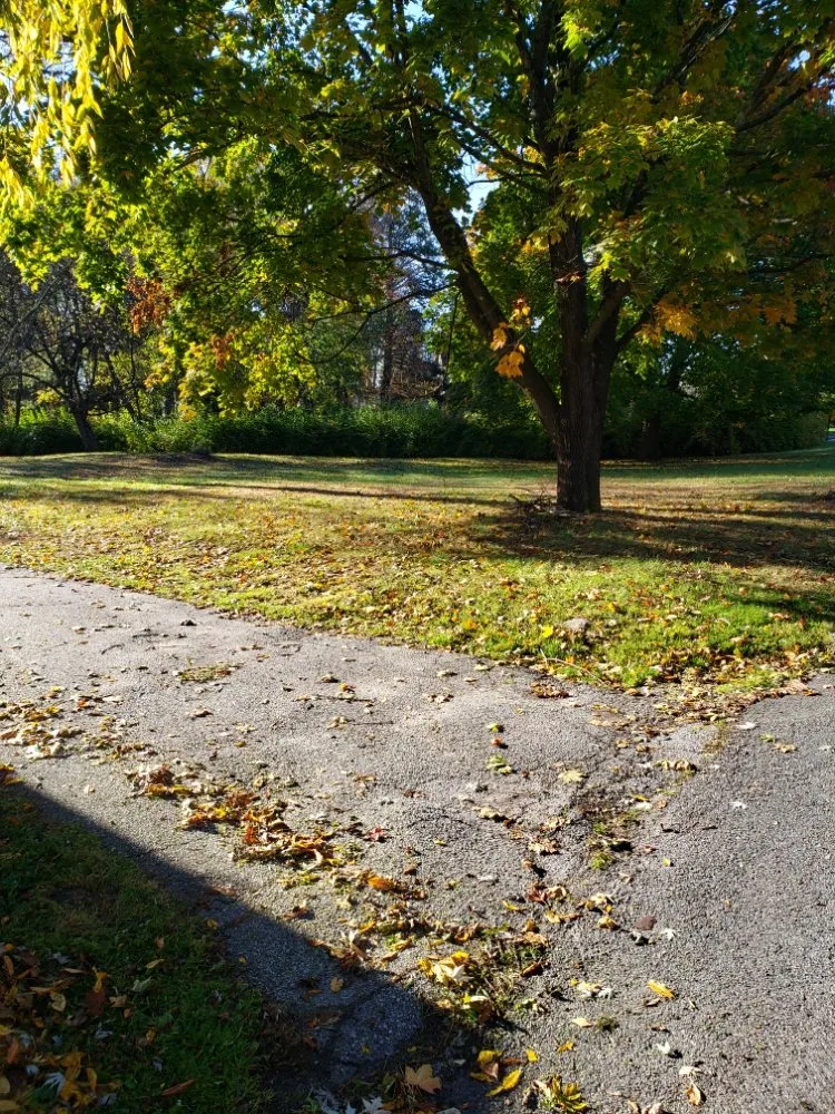 Trusted landscaping services for homes across Port St Lucie, FL - Green Gold Lawn Care