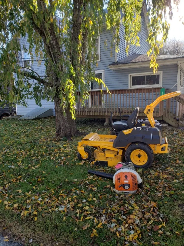Local yard cleanup service for residential properties across Port St Lucie, FL - Green Gold Lawn Care