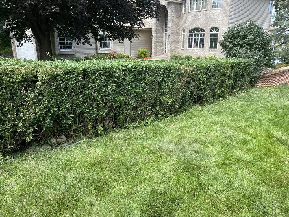 Affordable lawn mowing service in Savage, MN by Green Gorilla Lawn Care