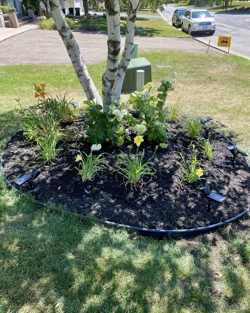 Affordable lawn care service for outdoor upgrades across Savage, MN - Green Gorilla Lawn Care