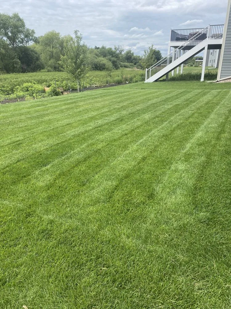 Professional landscape installation in Savage, MN - Green Gorilla Lawn Care