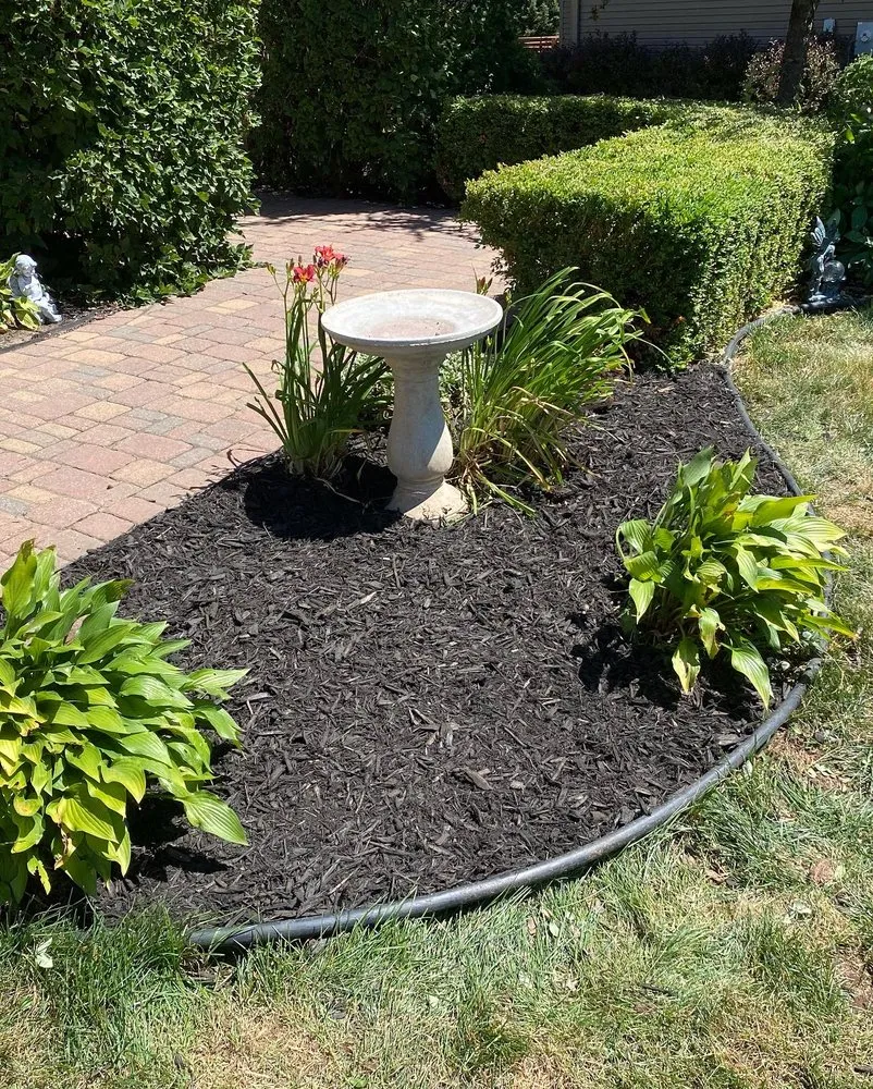 Expert yard cleanup service for year-round maintenance in Savage, MN by Green Gorilla Lawn Care