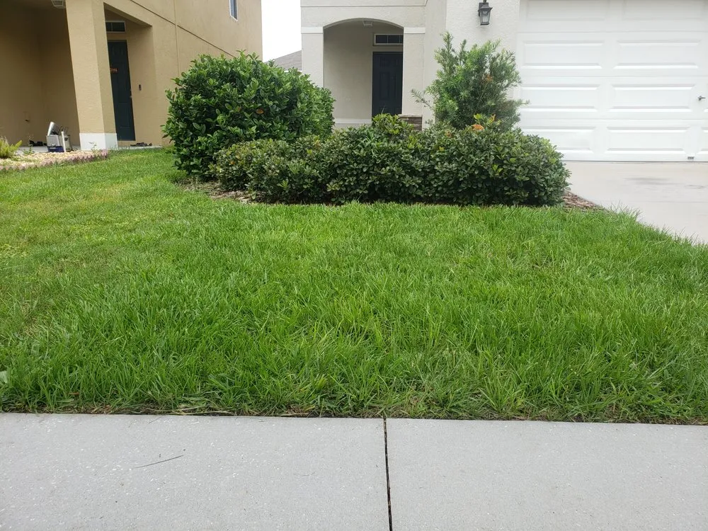 Trusted residential landscaping experts serving Riverview, FL - Green Gorilla Lawncare