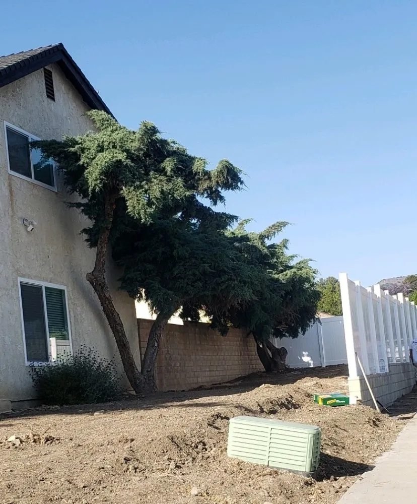 Expert yard maintenance experts serving Piru, CA - Green Grace Lawn and Services