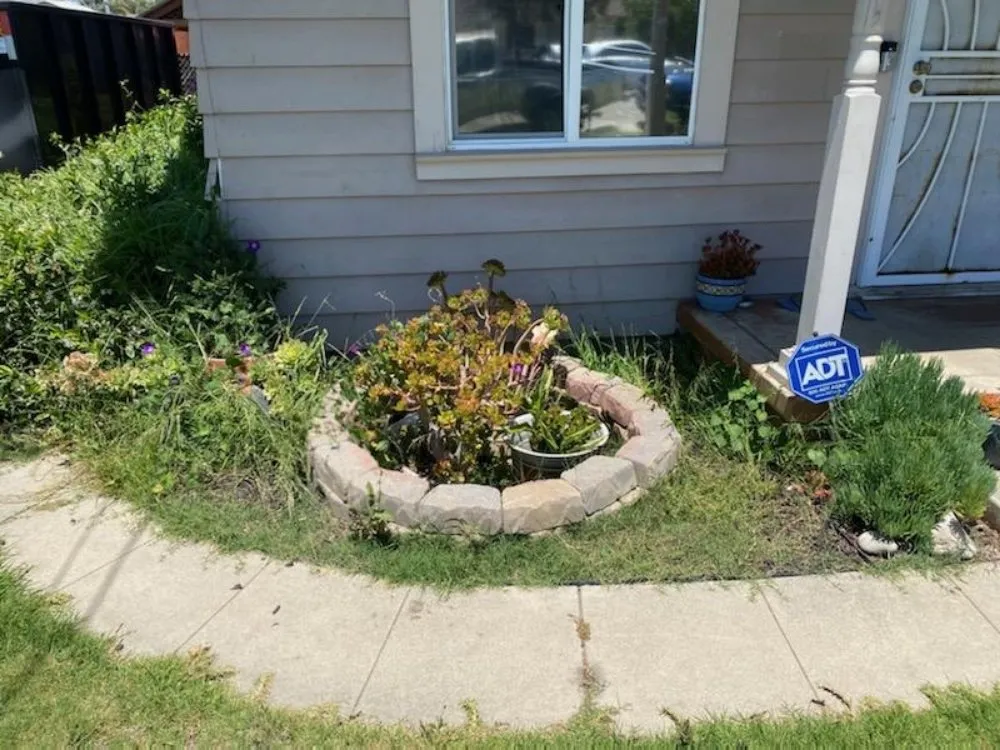 Custom yard maintenance in Piru, CA - Green Grace Lawn and Services