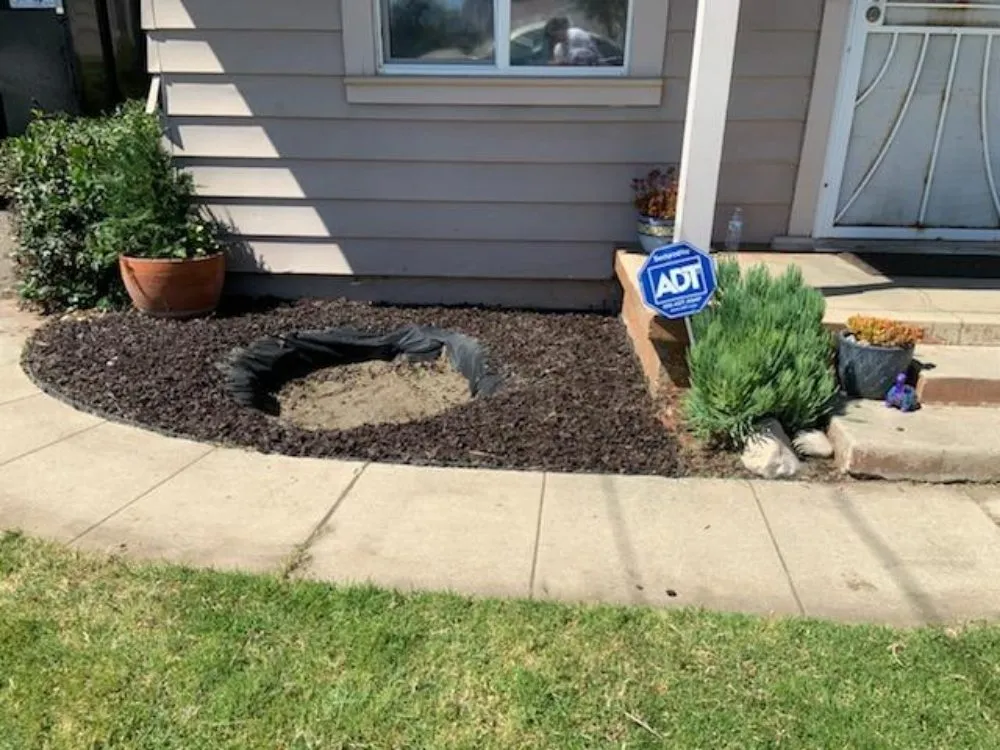 Professional landscape installation in Piru, CA by Green Grace Lawn and Services