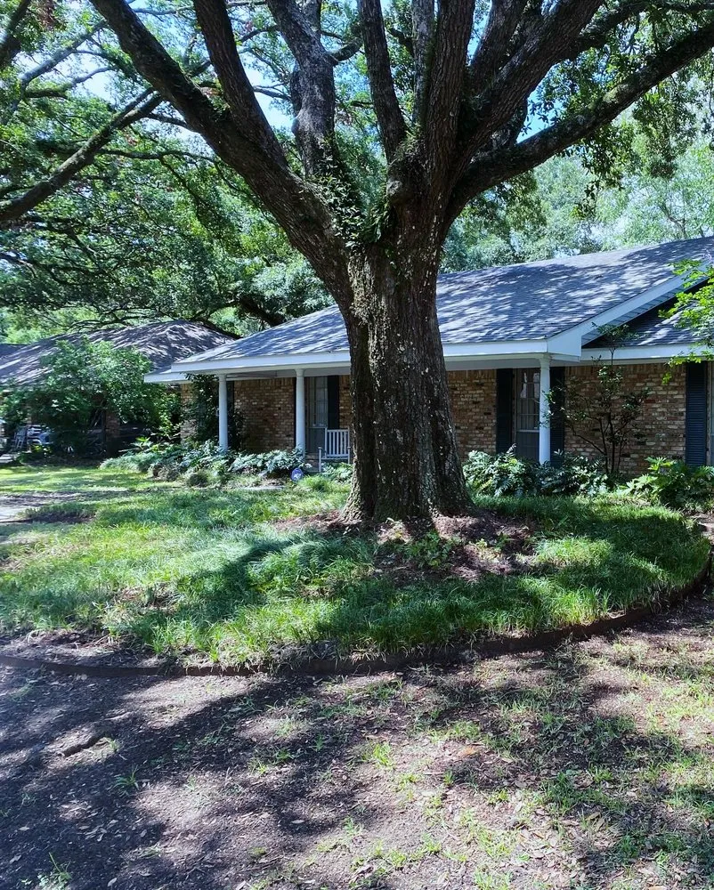Local lawn care service experts serving Lafayette, LA - Green Grace Lawn Care and Landscaping