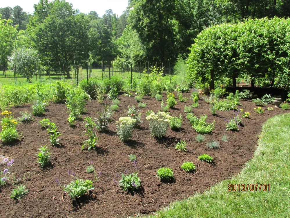 Custom outdoor landscaping in Chapel Hill, NC by Green Grass and More