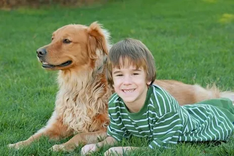Top-rated yard cleanup service for homes in Campbell. Ca, CA by Green Grass